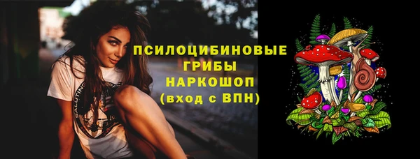 не бодяженный Алексин