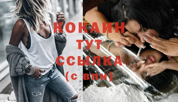 мяу мяу мука Алексеевка