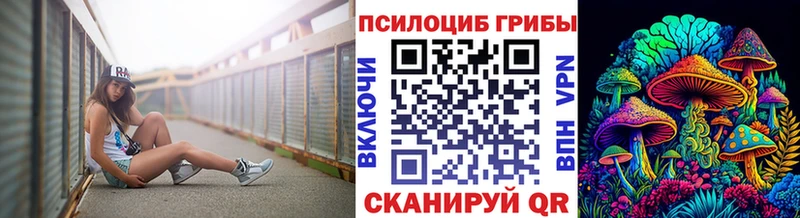 где купить наркоту  Грязовец  Галлюциногенные грибы Psilocybine cubensis 