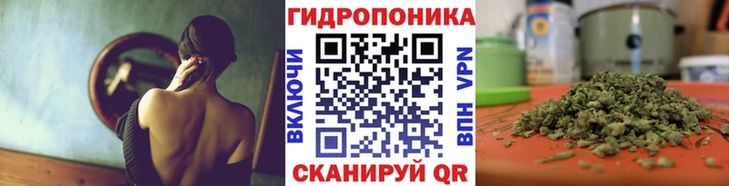 Бошки Шишки план  Грязовец 